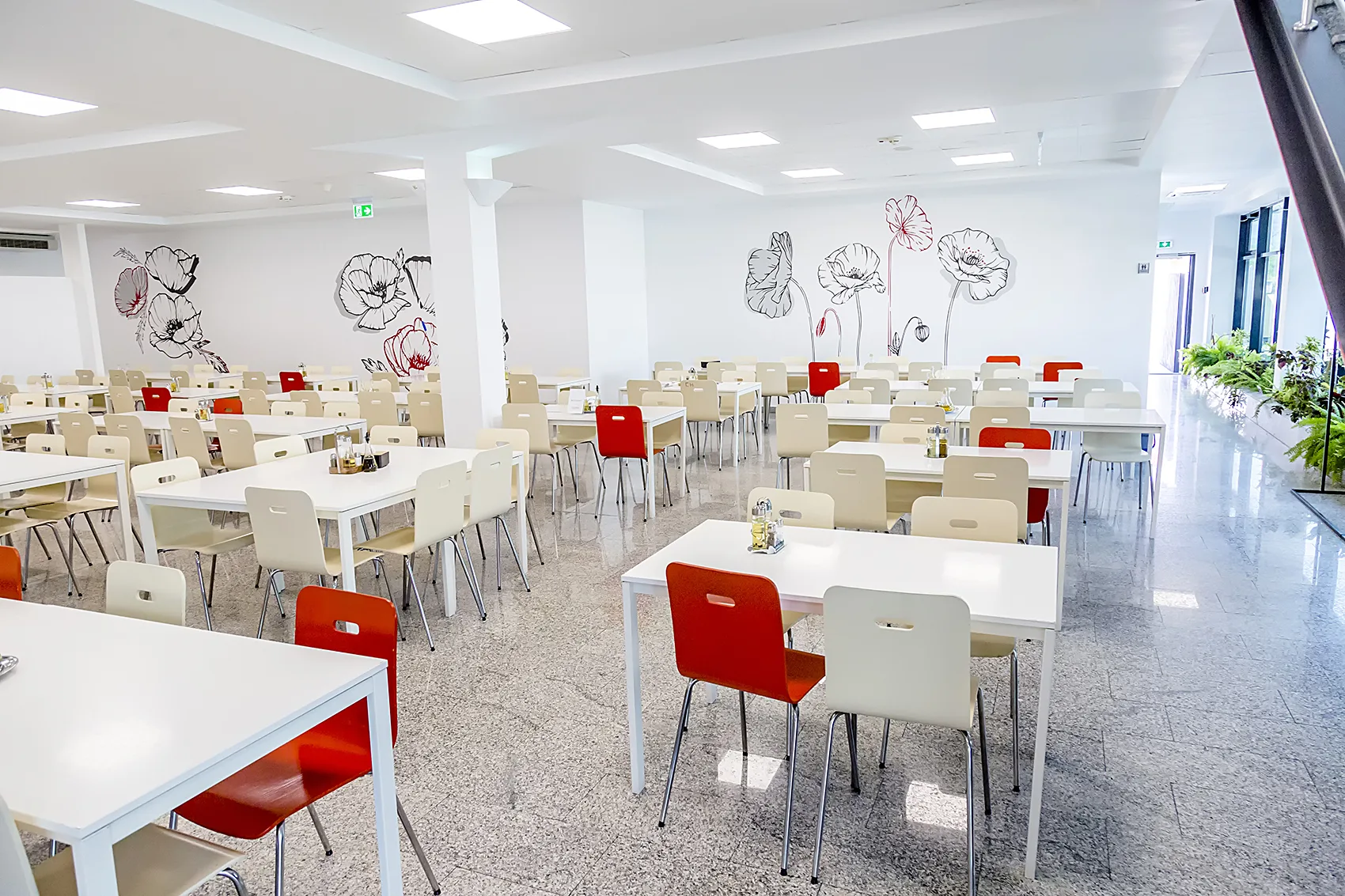 InvestaCCI Panouri Solare